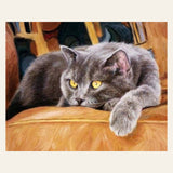 Cat on a Couch finished paint by numbers artwork