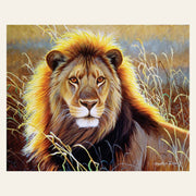 Lion in the Savannah finished paint by numbers artwork
