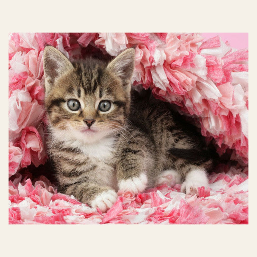 Cute Cat finished paint by numbers artwork