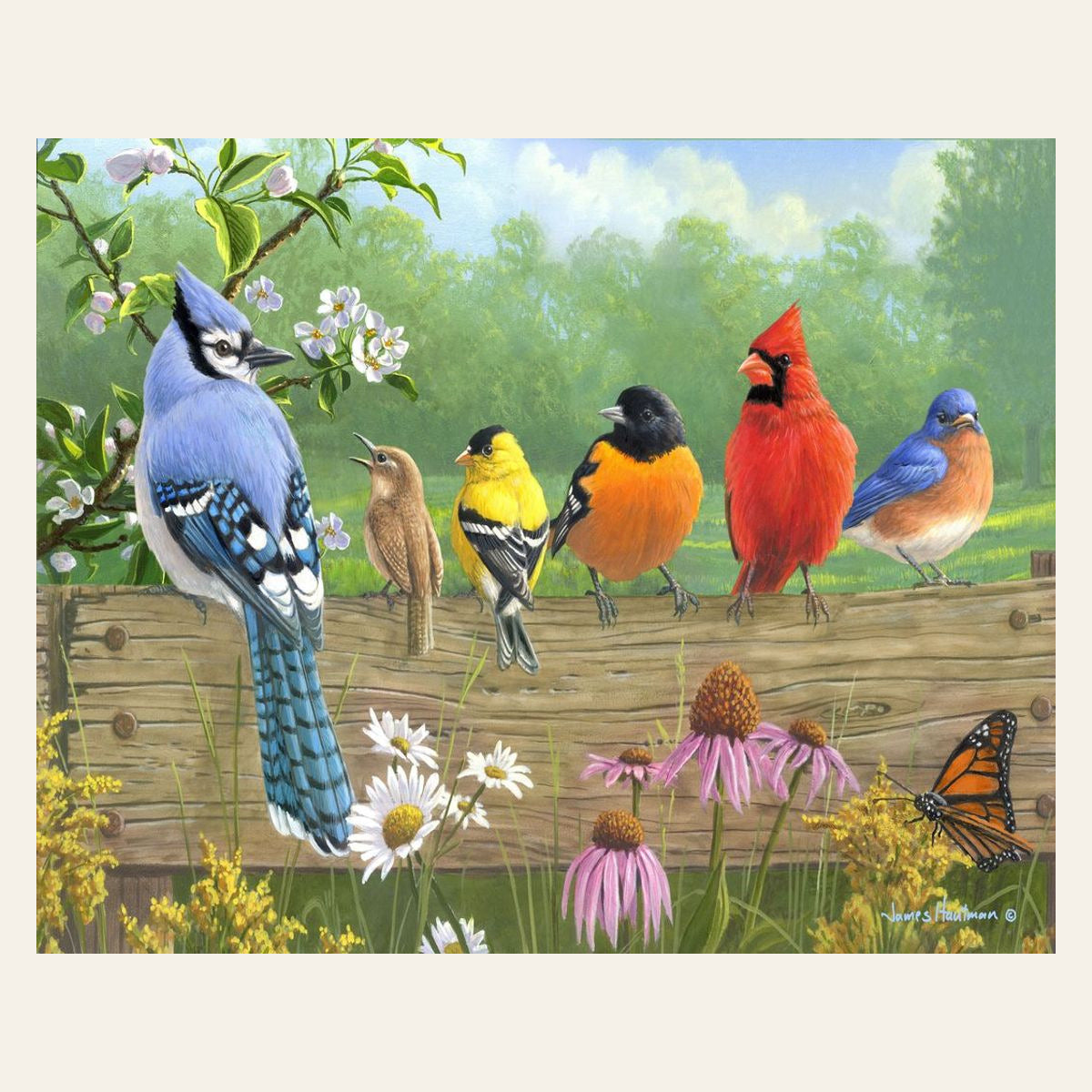 Birds on a Fence finished paint by numbers artwork