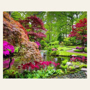 Beautiful Park finished paint by numbers artwork