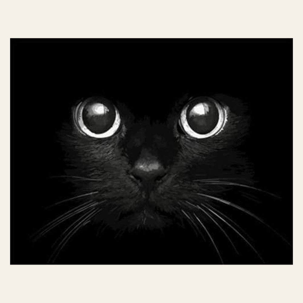 Black Cat Head finished paint by numbers artwork