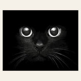 Black Cat Head finished paint by numbers artwork