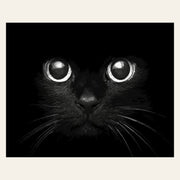 Black Cat Head finished paint by numbers artwork
