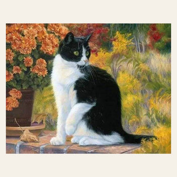 Black and White Cat finished paint by numbers artwork