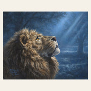 Lion and Dim Light finished paint by numbers artwork