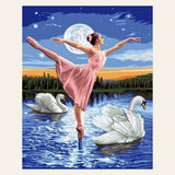 Swan Lake and Full Moon finished paint by numbers artwork