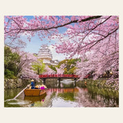 Cherry Blossom in Japan finished paint by numbers artwork