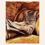 Don't mess with This Cat finished paint by numbers artwork