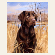 Labrador finished paint by numbers artwork
