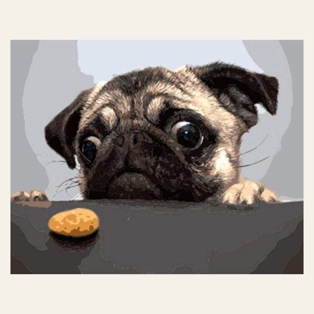 Pug Dog finished paint by numbers artwork