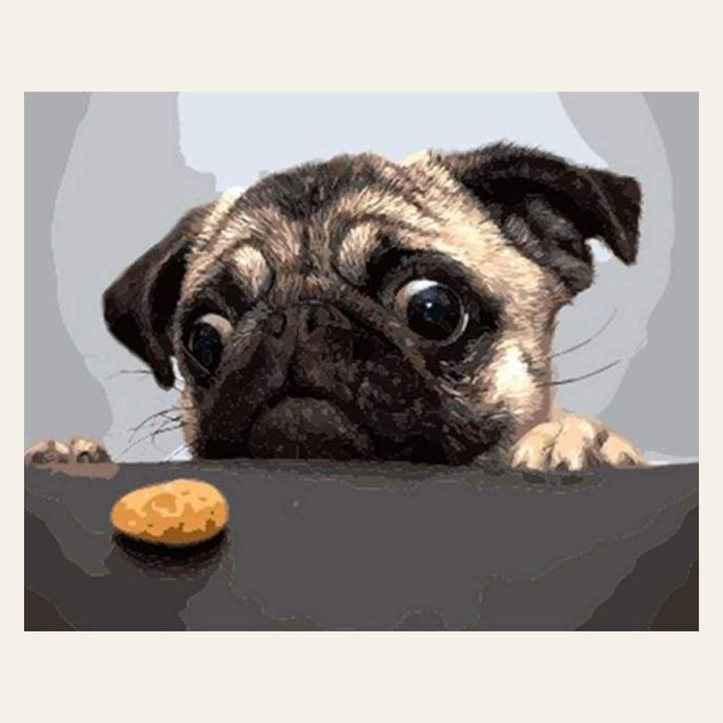 Pug Dog finished paint by numbers artwork