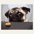 Pug Dog finished paint by numbers artwork