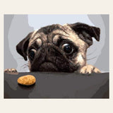 Pug Dog finished paint by numbers artwork