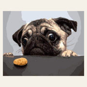 Pug Dog finished paint by numbers artwork