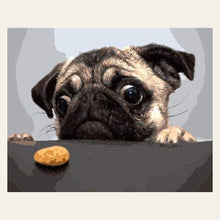 Pug Dog finished paint by numbers artwork