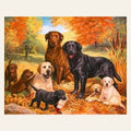 Pack of Dogs finished paint by numbers artwork