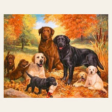 Pack of Dogs finished paint by numbers artwork