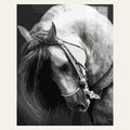 Horse Neck finished paint by numbers artwork