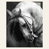 Horse Neck finished paint by numbers artwork