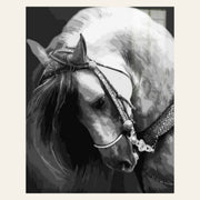 Horse Neck finished paint by numbers artwork