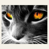 Cat Eyes finished paint by numbers artwork