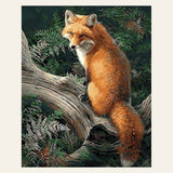 Fox in the Woods finished paint by numbers artwork