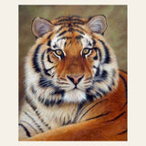 Tiger Look finished paint by numbers artwork