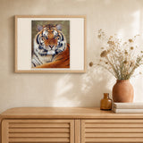 Tiger Look artwork displayed in a warm interior