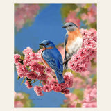 Bluebirds finished paint by numbers artwork