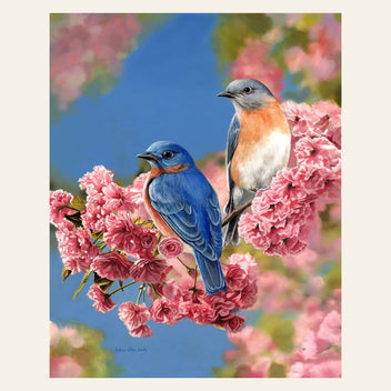 Bluebirds finished paint by numbers artwork