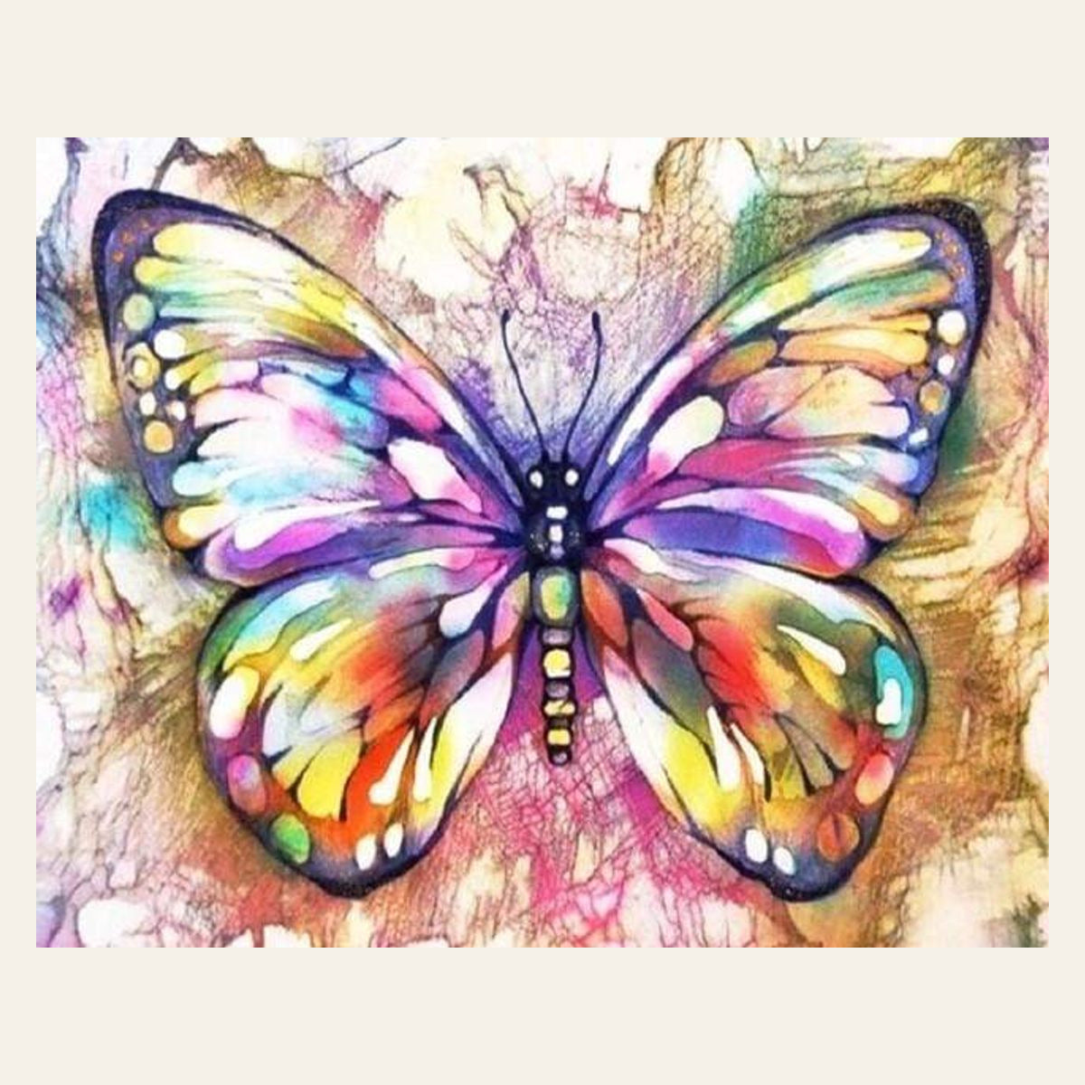 Colorful Butterfly finished paint by numbers artwork