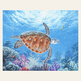 Turtle finished paint by numbers artwork