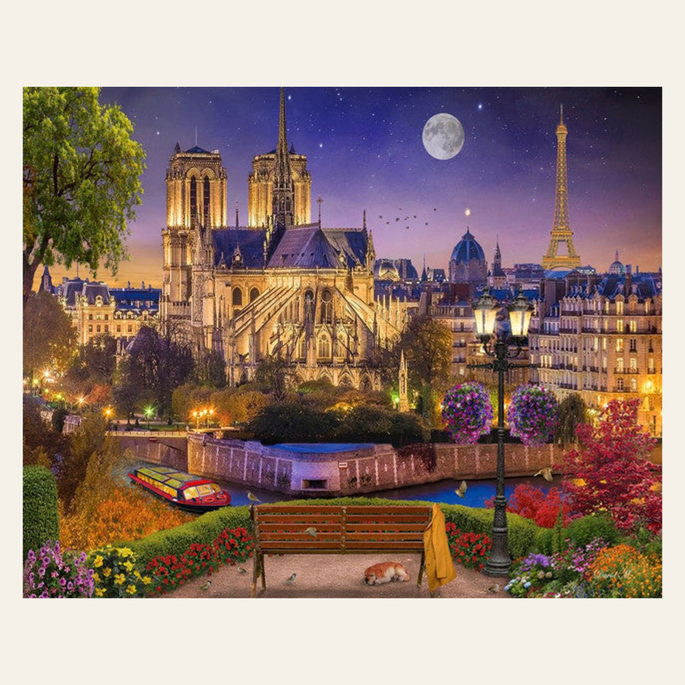 Notre-Dame and Eiffel Tower at night finished paint by numbers artwork