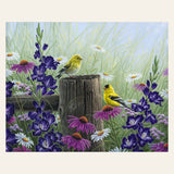 Goldfinch Birds finished paint by numbers artwork