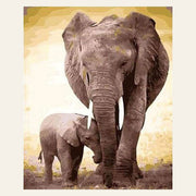 Elephant and calf finished paint by numbers artwork