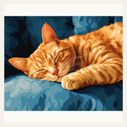 Overslept finished paint by numbers artwork