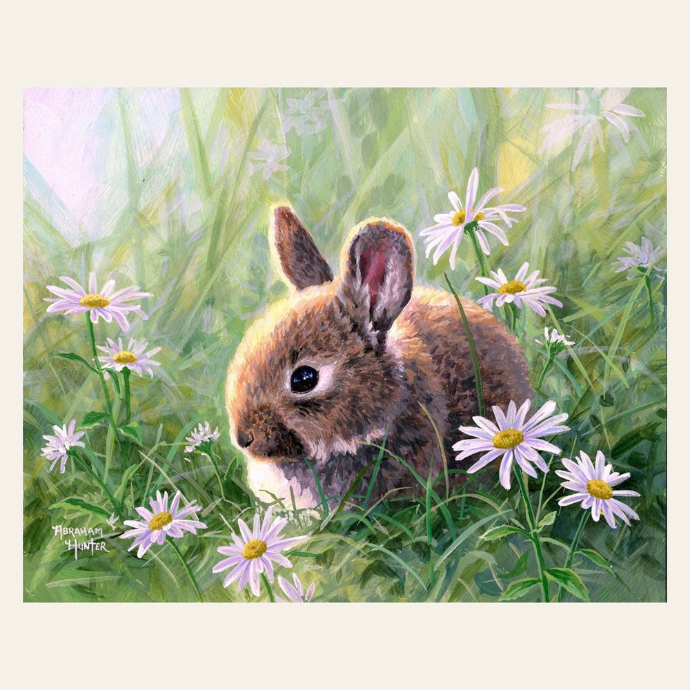Rabbit and Oxeye Daisy finished paint by numbers artwork