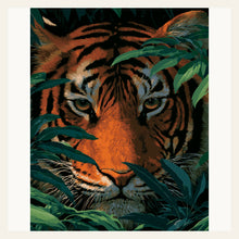 Bengal Stare finished paint by numbers artwork