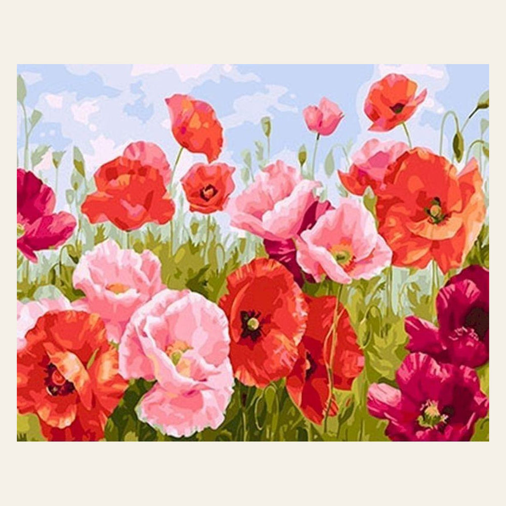 Common Poppy finished paint by numbers artwork