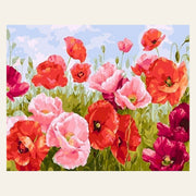 Common Poppy finished paint by numbers artwork