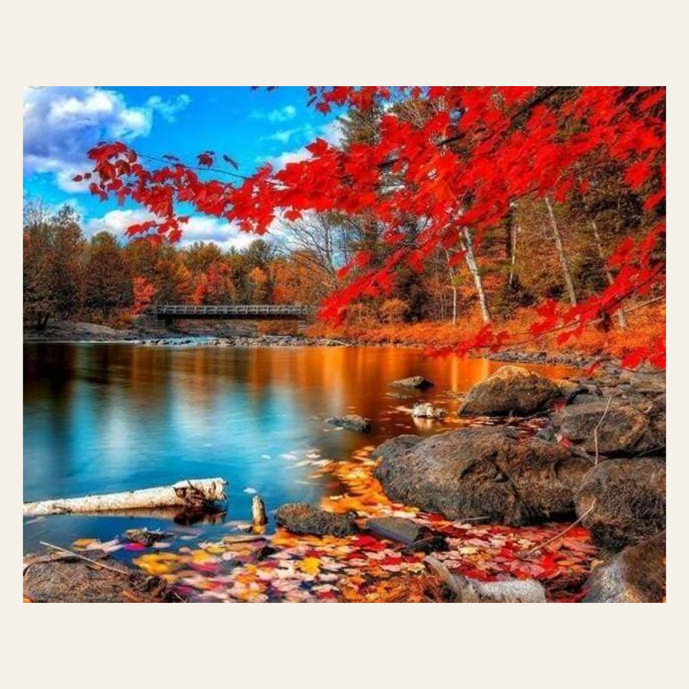 River and Autumn Forest finished paint by numbers artwork