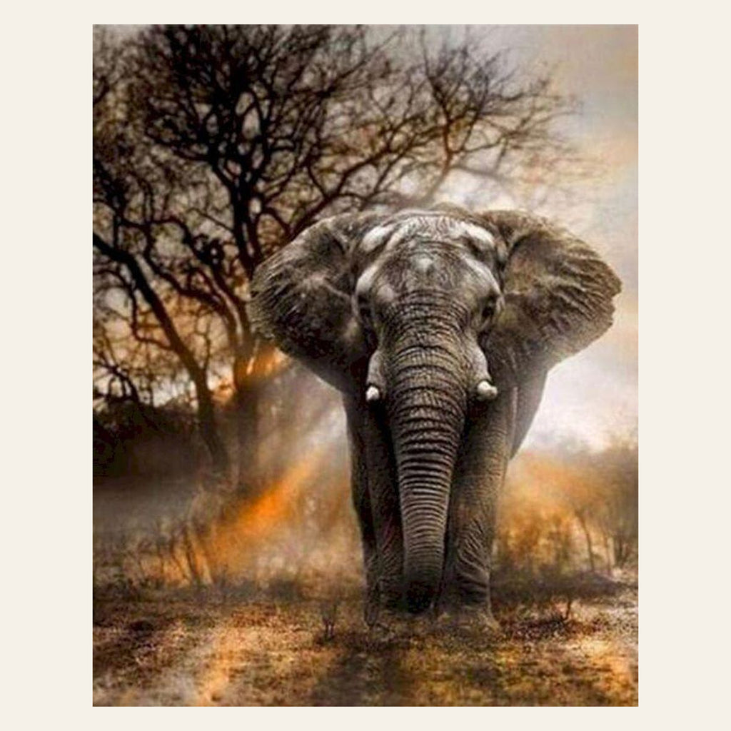 Lonely Elephant finished paint by numbers artwork