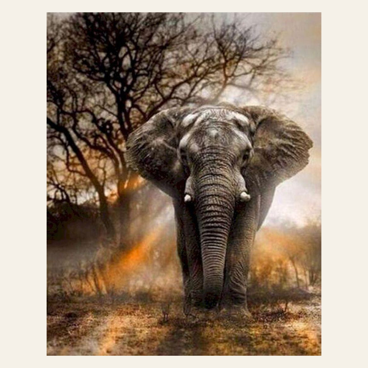 Lonely Elephant finished paint by numbers artwork