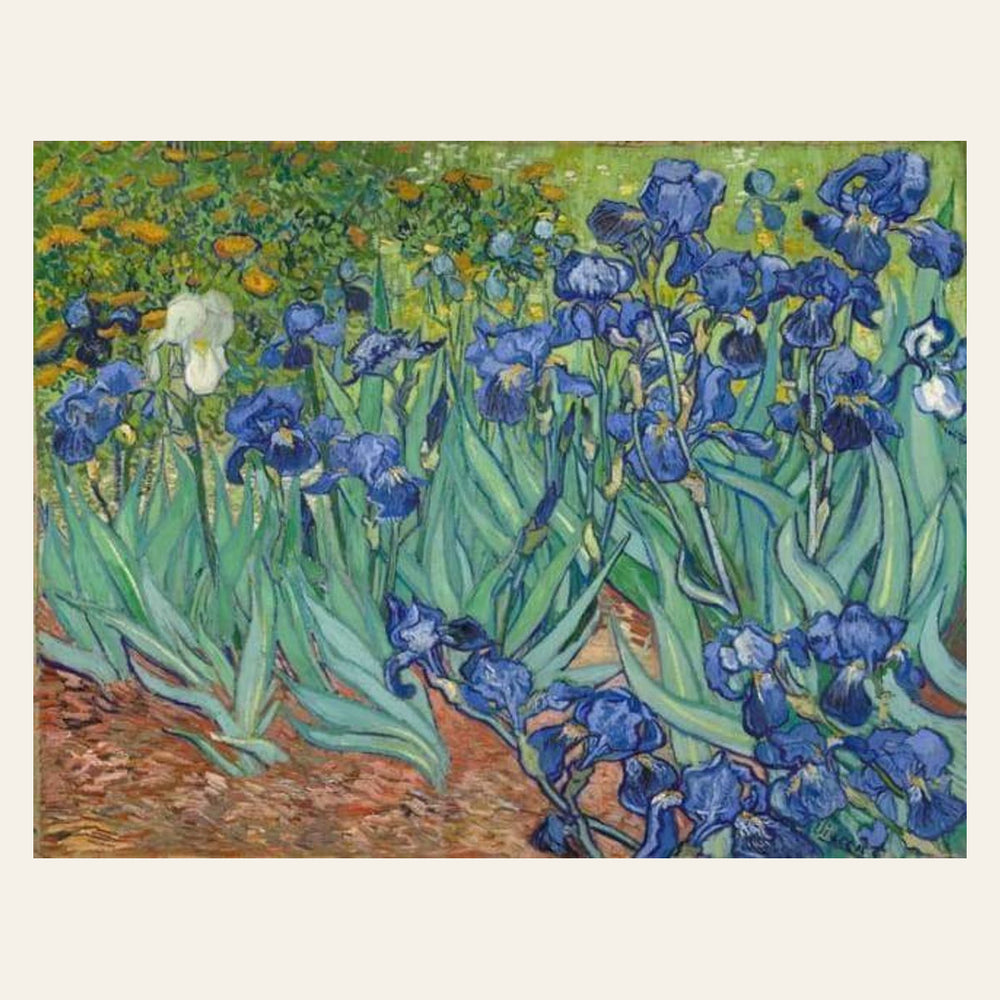 Van Gogh Iris finished paint by numbers artwork