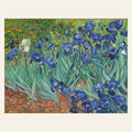 Van Gogh Iris finished paint by numbers artwork
