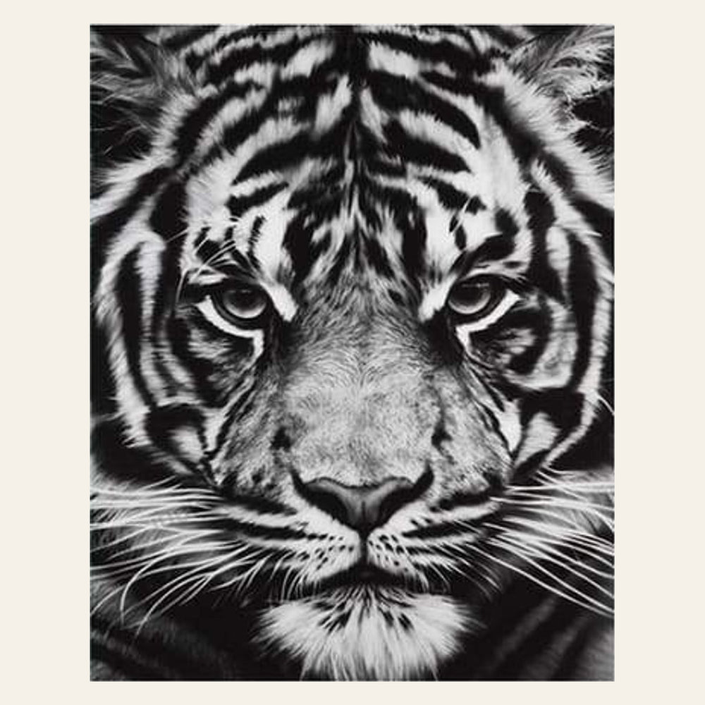 Tiger Head Black And White finished paint by numbers artwork