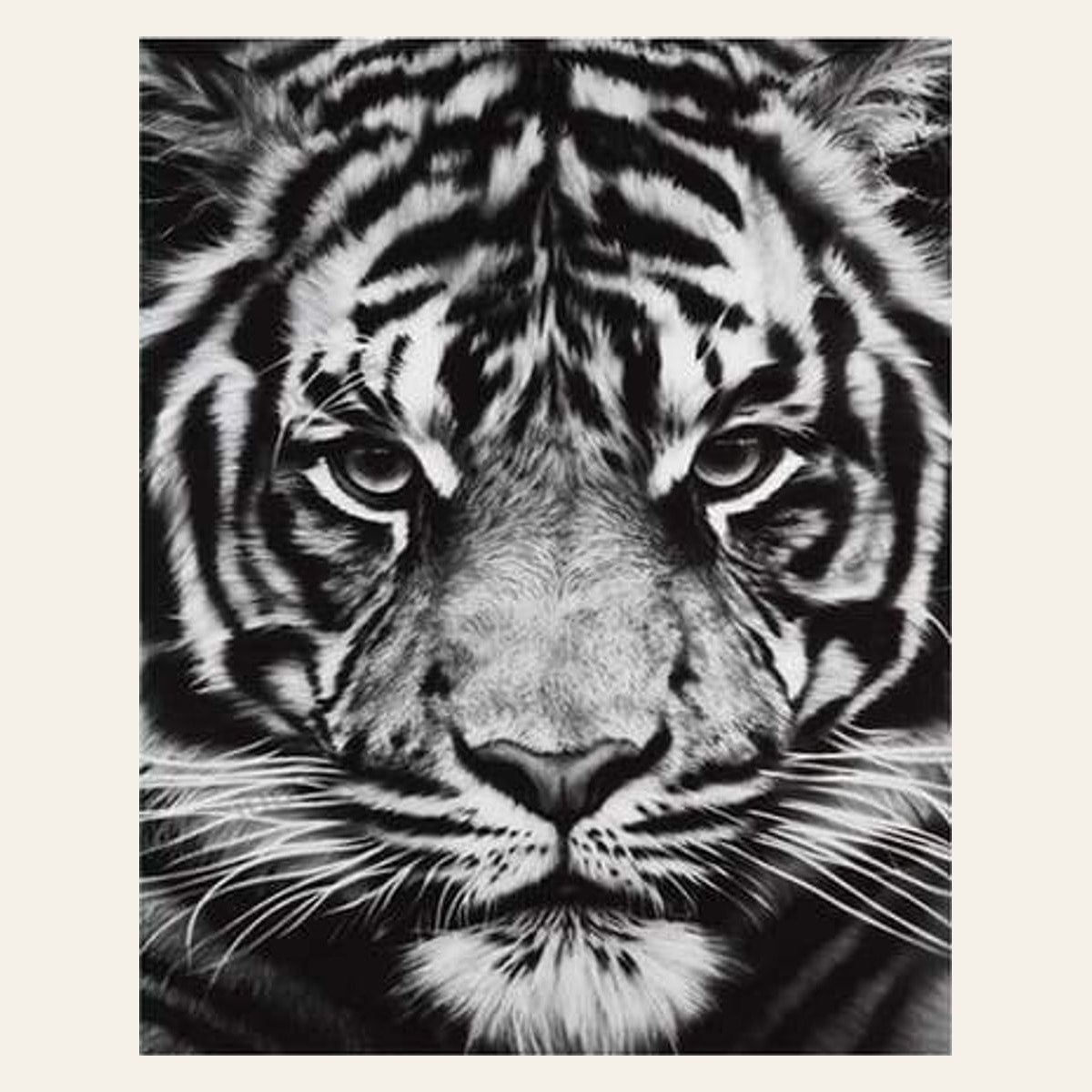 Tiger Head Black And White finished paint by numbers artwork