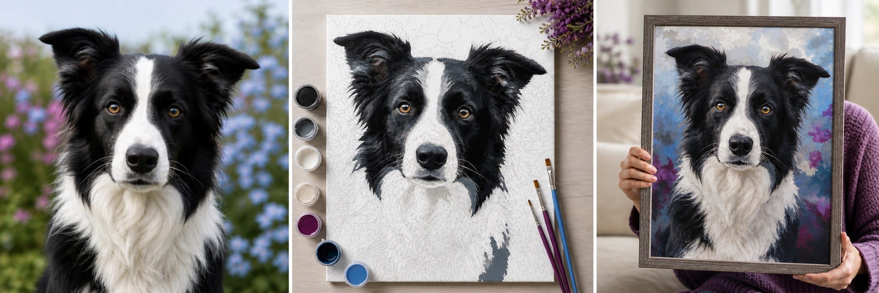 A border collie shown as a photograph, numbered canvas, and finished painting
