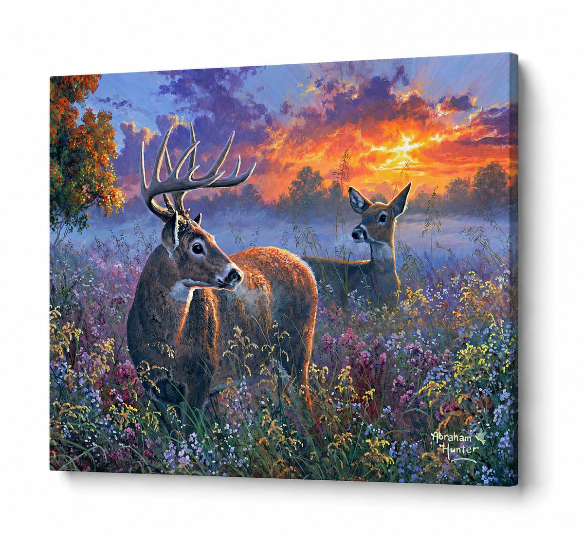 Couple de cerfs